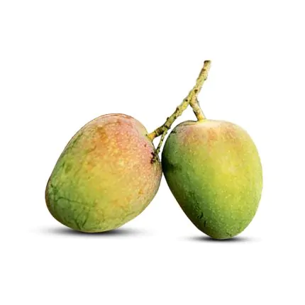 bari-4-430x430 বারি-৪ আম