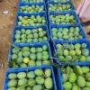 গোবিন্দভোগ আম