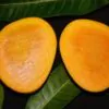 হিমসাগর আম