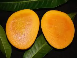 h1 হিমসাগর আম